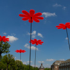 Sonnenfänger Gänseblümchen