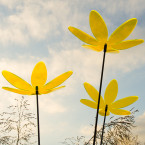 Lotusblume Sonnenfänger