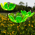 Ringelblumen Sonnenfänger