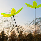 Lotusblume Sonnenfänger