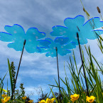 Sonnenfänger Butterblume