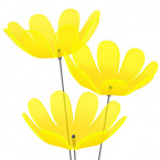 Ringelblumen Sonnenfänger