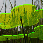 Sonnenfänger Blumen