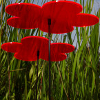 Sonnenfänger Blumen