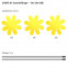 Sonnenfänger Gänseblümchen