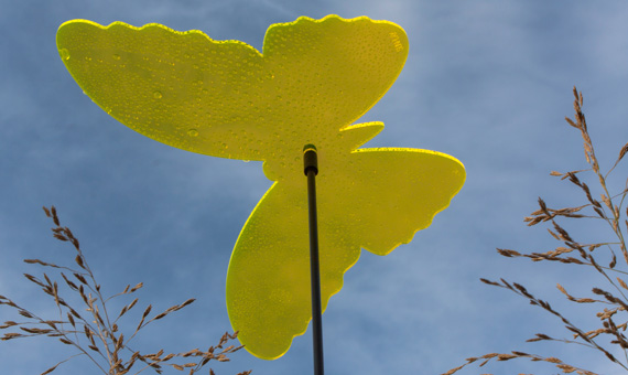 SUNPLAY Sonnenfänger in bunt