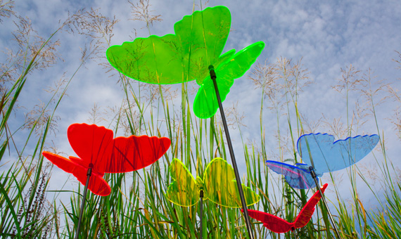 SUNPLAY Sonnenfänger in bunt